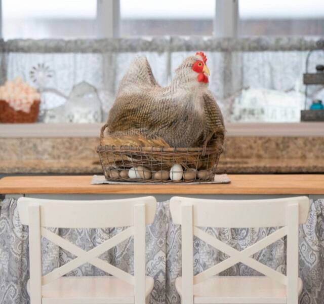 Melody Moonlight The House Chicken - image 1