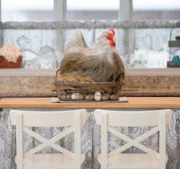 Melody Moonlight The House Chicken - thumbnail 1