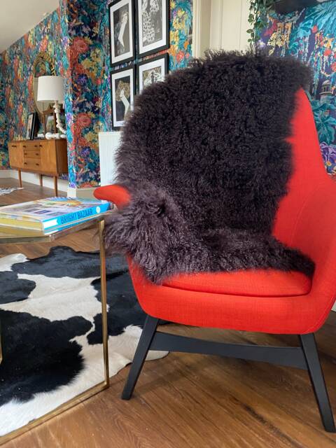 Mocha Brown Mongolian Sheepskin Throw/Rug Luxury Tibetan Lamb - 48 X 24 In - image 1