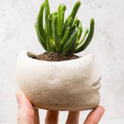 Face Style Concrete Plant Pot - thumbnail 3