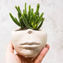 Face Style Concrete Plant Pot - thumbnail 2