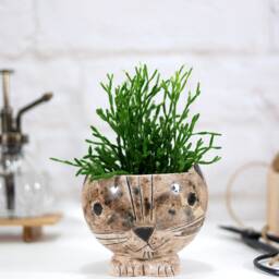Mini Ceramic Planter Pot With Cute Handpainted Cat Face/Plant Hanger For Cactus, Succulents, Air Plants - Animal Decor Gift - thumbnail 4