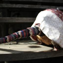 Handmade Armadillo - Available - thumbnail 4
