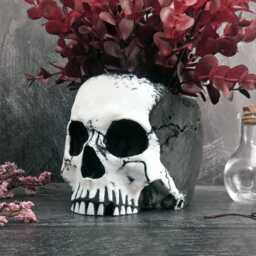 Skull Face Planter - Gothic Plant Pot, Unique Dark Home Decor Gift For Lovers - thumbnail 2