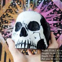 Skull Face Planter - Gothic Plant Pot, Unique Dark Home Decor Gift For Lovers - thumbnail 4