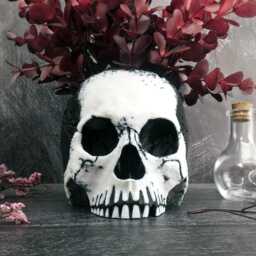 Skull Face Planter - Gothic Plant Pot, Unique Dark Home Decor Gift For Lovers - thumbnail 3