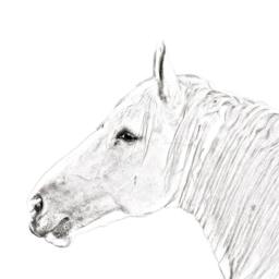 Boulonnais - Wooden Stand For Candles/Pens With The Image Of A Horse New Collection - thumbnail 2