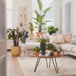 Elho B.for Soft, Pink, Plant Pots in Multiple Sizes, Eco-Friendly, Plastic - thumbnail 3