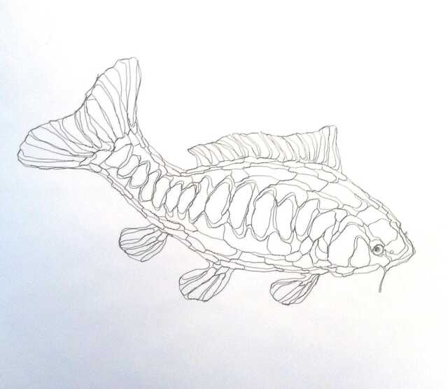 Wire Sculpture 2D Koi Carp - Pond Fish Wall Art By Elizabeth Berrien, Internationally Acclaimed Wire Sculp
