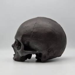Inverted Cross. Human Skull Replica . Realistic Plaster Of Paris Life Size Human Replica - thumbnail 4