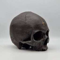 Inverted Cross. Human Skull Replica . Realistic Plaster Of Paris Life Size Human Replica - thumbnail 2