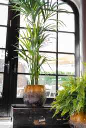 Ochre Yellow Ceramic Plant Pot Retro Lindy Style, Handmade - Multiple Sizes, D16 cm-D30cm