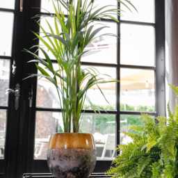 Ochre Yellow Ceramic Plant Pot Retro Lindy Style, Handmade - Multiple Sizes, D16 cm-D30cm - thumbnail 3
