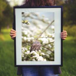 Owl Nursery Print Farmhouse Style Wall Art - Digital Download - thumbnail 2