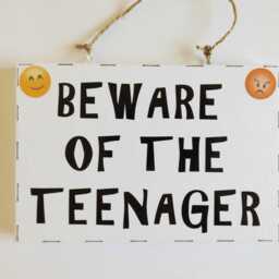 Beware Teenagers Bedroom Door Sign Wall Plaque Home Decor Funny Thoughtful Childrens Teens Gift - thumbnail 2