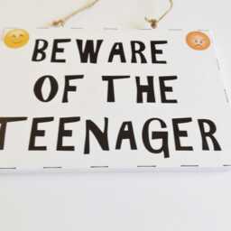 Beware Teenagers Bedroom Door Sign Wall Plaque Home Decor Funny Thoughtful Childrens Teens Gift - thumbnail 3