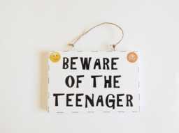 Beware Teenagers Bedroom Door Sign Wall Plaque Home Decor Funny Thoughtful Childrens Teens Gift - thumbnail 1