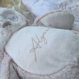 Personalised Owl Teddy & Blanket - Gender Neutral Newborn Gift Baby Shower New Mum Tan/Nursery - thumbnail 2