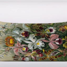 Vintage Flower Pattern Ernst Haeckel Illustration Orchid - Can Be Customizeable Personlized -Cushion Cover Case Or Stuffed With Insert - thumbnail 2