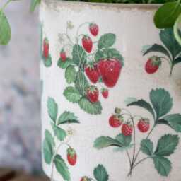 Strawberry Pattern Plant Pot - Herb Planter Strawberries Ceramic Vintage Style Kitchen Garden Houseplant Cover - thumbnail 2