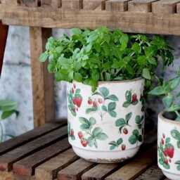 Strawberry Pattern Plant Pot - Herb Planter Strawberries Ceramic Vintage Style Kitchen Garden Houseplant Cover - thumbnail 1