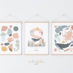 Personalised Sea Animals & Shells Print Set, Girl Nursery Under The Ocean Prints, Print, Whale - thumbnail 2