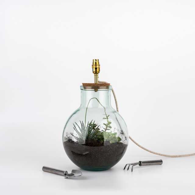 Terrarium Table Lamp Kit With Plants - Recycled Glass Light Diy Indoor Garden Botanical Home Decor - image 1