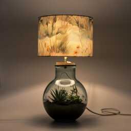 Terrarium Table Lamp Kit With Plants - Recycled Glass Light Diy Indoor Garden Botanical Home Decor - thumbnail 3