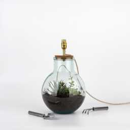 Terrarium Table Lamp Kit With Plants - Recycled Glass Light Diy Indoor Garden Botanical Home Decor - thumbnail 1