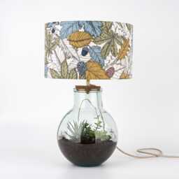 Terrarium Table Lamp Kit With Plants - Recycled Glass Light Diy Indoor Garden Botanical Home Decor - thumbnail 2