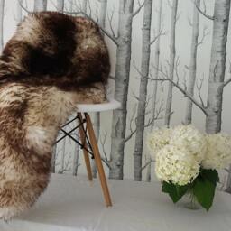 "Original Brown Mouflon 48"" X 28" - thumbnail 3