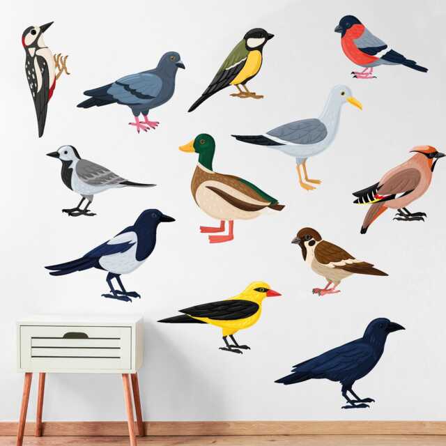 Animal Wall Sticker - Set Of Twelve Birds Decal Art - image 1
