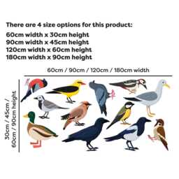 Animal Wall Sticker - Set Of Twelve Birds Decal Art - thumbnail 3