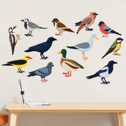 Animal Wall Sticker - Set Of Twelve Birds Decal Art - thumbnail 2