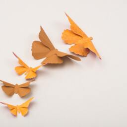 Wall Art Stickers 3D Butterfly For Nursery, Wedding, Or Home Decor in Ochre & Scorched Script - thumbnail 3