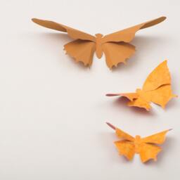 Wall Art Stickers 3D Butterfly For Nursery, Wedding, Or Home Decor in Ochre & Scorched Script - thumbnail 2