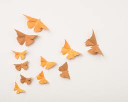 Wall Art Stickers 3D Butterfly For Nursery, Wedding, Or Home Decor in Ochre & Scorched Script - thumbnail 1
