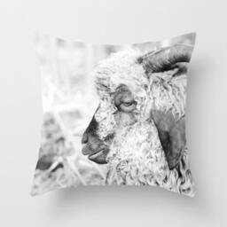Sheep Pillow Black & White - 16x16 18x18 20x20 Cover - thumbnail 1