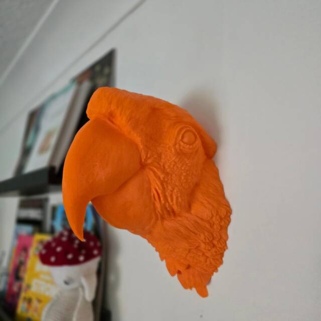Scarlet Macaw Wall Mount - Animal Home Decor 3D Printed - image 1