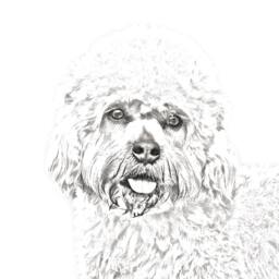 Dandie Dinmont Terrier - Wooden Stand For Candles/Pens With The Image Of A Dog New Collection - thumbnail 2