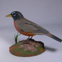 Life Size 9 Inch American Robin Wooden Carved Bird - thumbnail 3