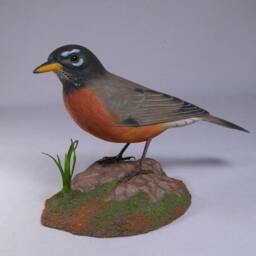 Life Size 9 Inch American Robin Wooden Carved Bird - thumbnail 2