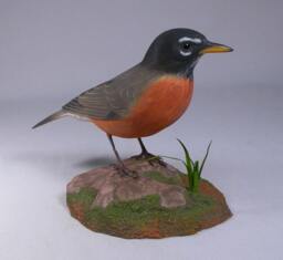 Life Size 9 Inch American Robin Wooden Carved Bird