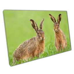 Spring Meadow Hares Canvas Print Enchanting Wildlife Wall Art For Home, Office & Nursery Decor - thumbnail 1
