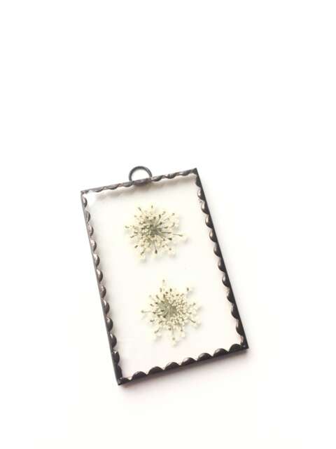 Handmade Pressed Flower Frame Cow Parsley Queen Anne's Lace Wall Hanging - image 1