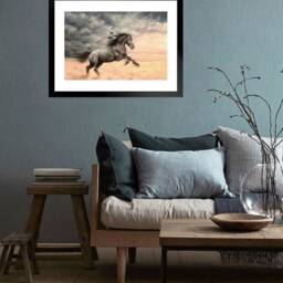 Appaloosa Horse Painting, Limited Edition Equine Art Print On Canvas - thumbnail 2