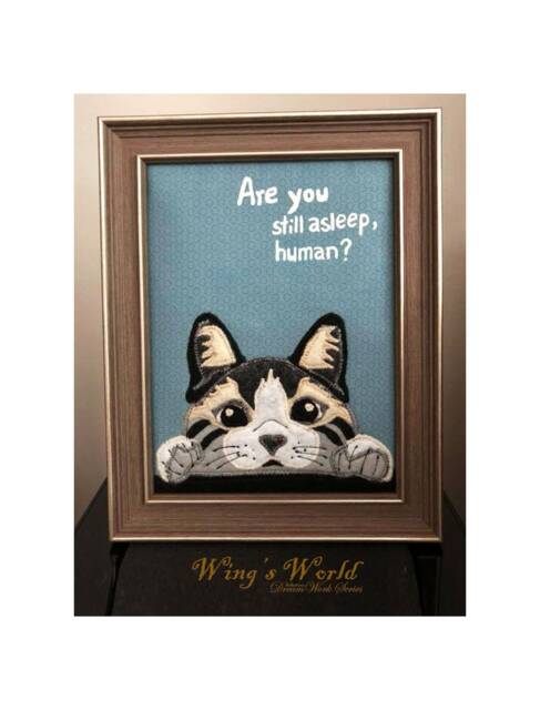 Framed Kitty Fabric Art, Are You Still Asleep Human 6 X 8 Cat Wall Decor, Black & White Felt Art - image 1