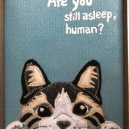 Framed Kitty Fabric Art, Are You Still Asleep Human 6 X 8 Cat Wall Decor, Black & White Felt Art - thumbnail 2