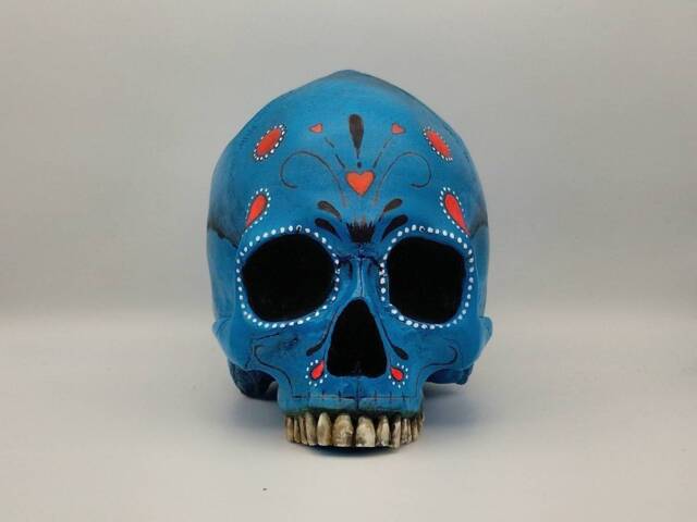 Day Of The Dead.plaster Paris Life Size Human Skull Replica - image 1