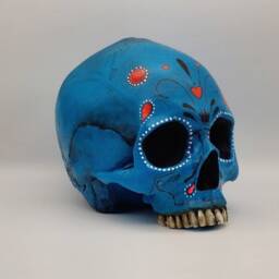 Day Of The Dead.plaster Paris Life Size Human Skull Replica - thumbnail 3